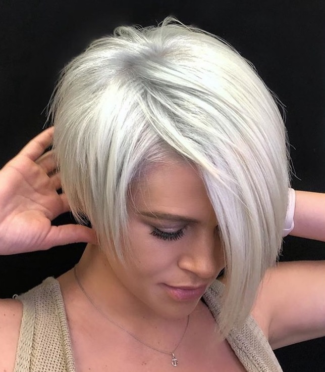Trendy Silver Pixie Bob